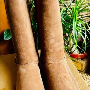 UGG Original Classic Tall Boots